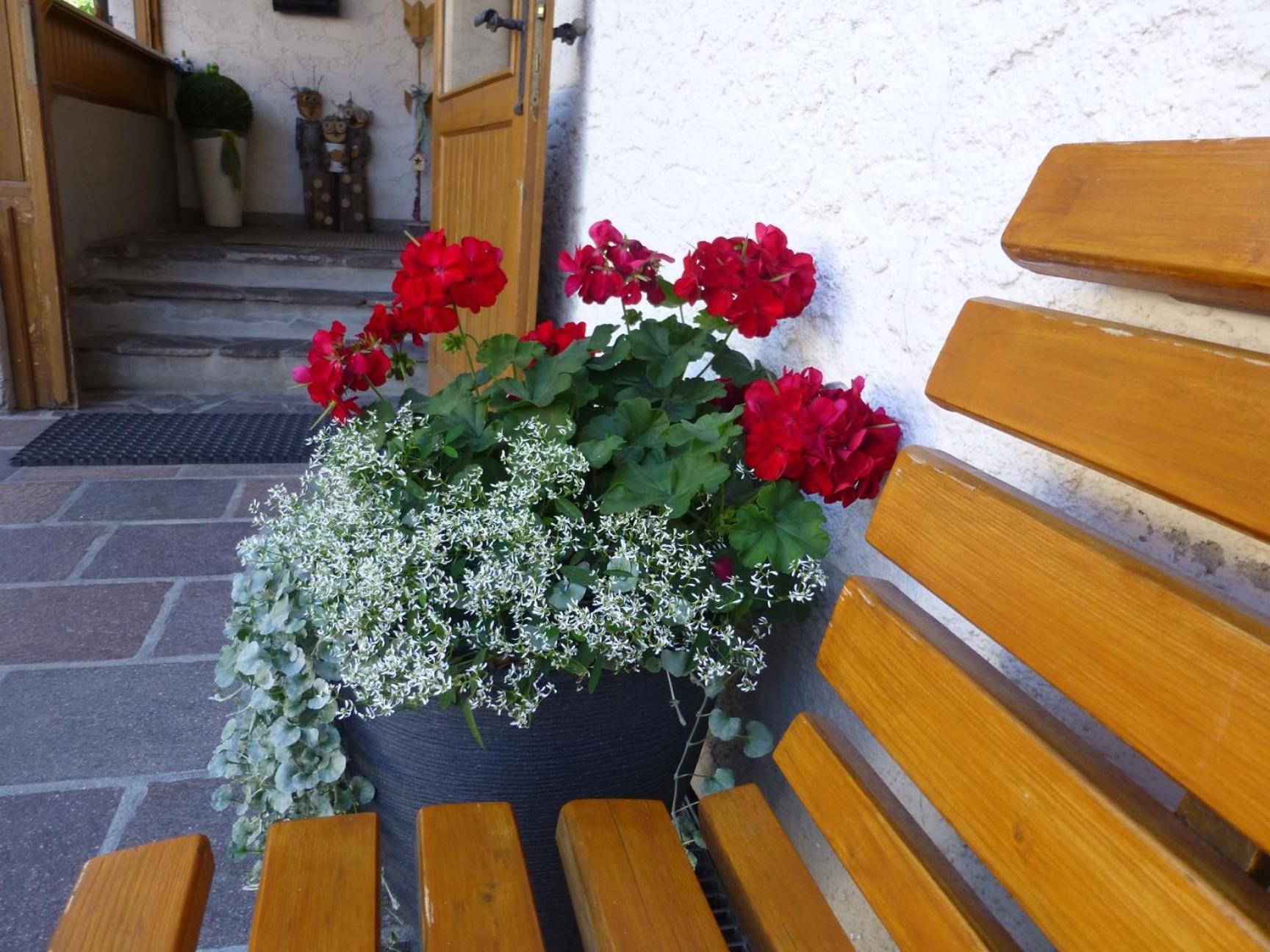 Bed and Breakfast Garni Helfer Dobbiaco Exterior foto