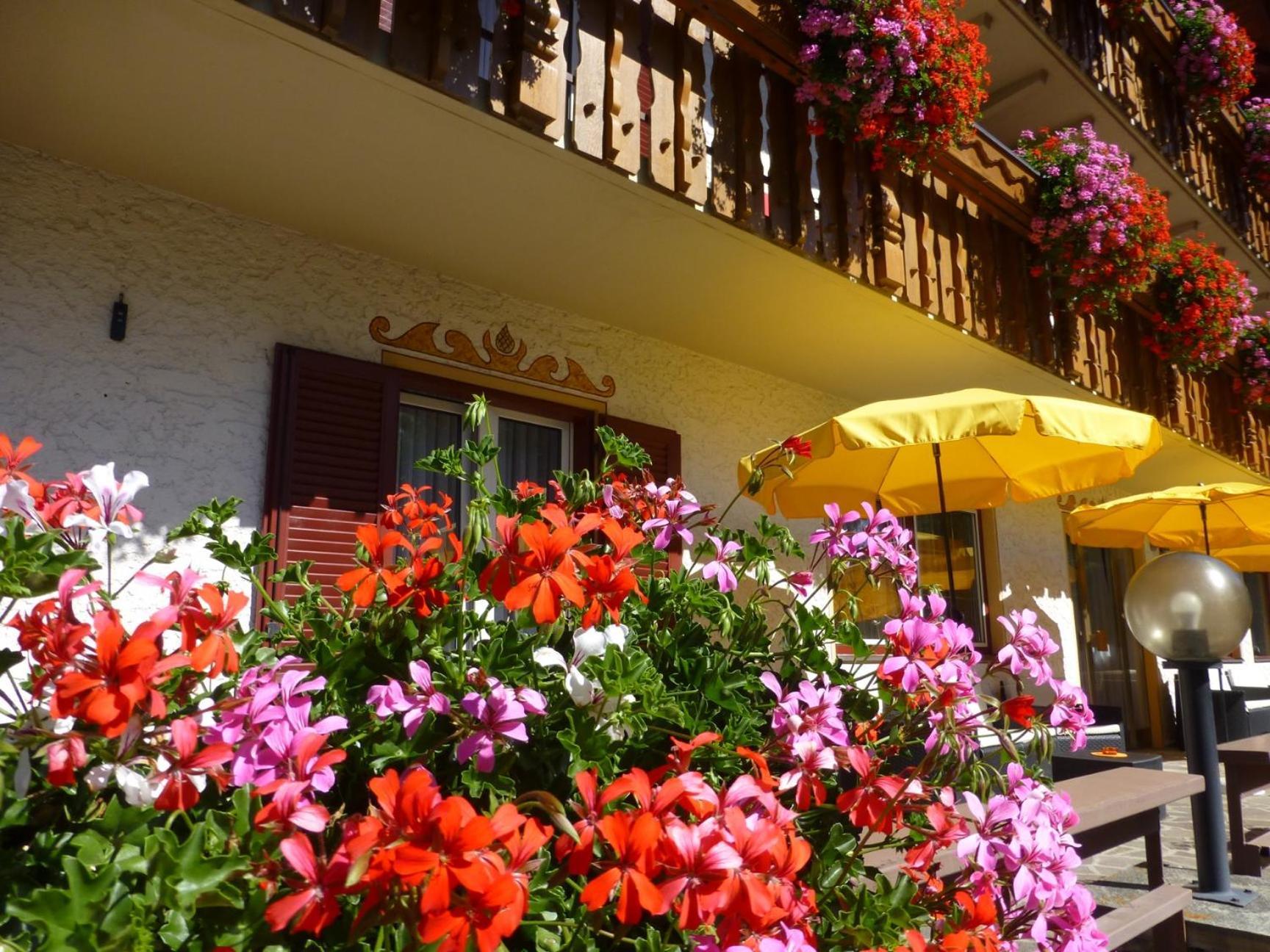 Bed and Breakfast Garni Helfer Dobbiaco Exterior foto