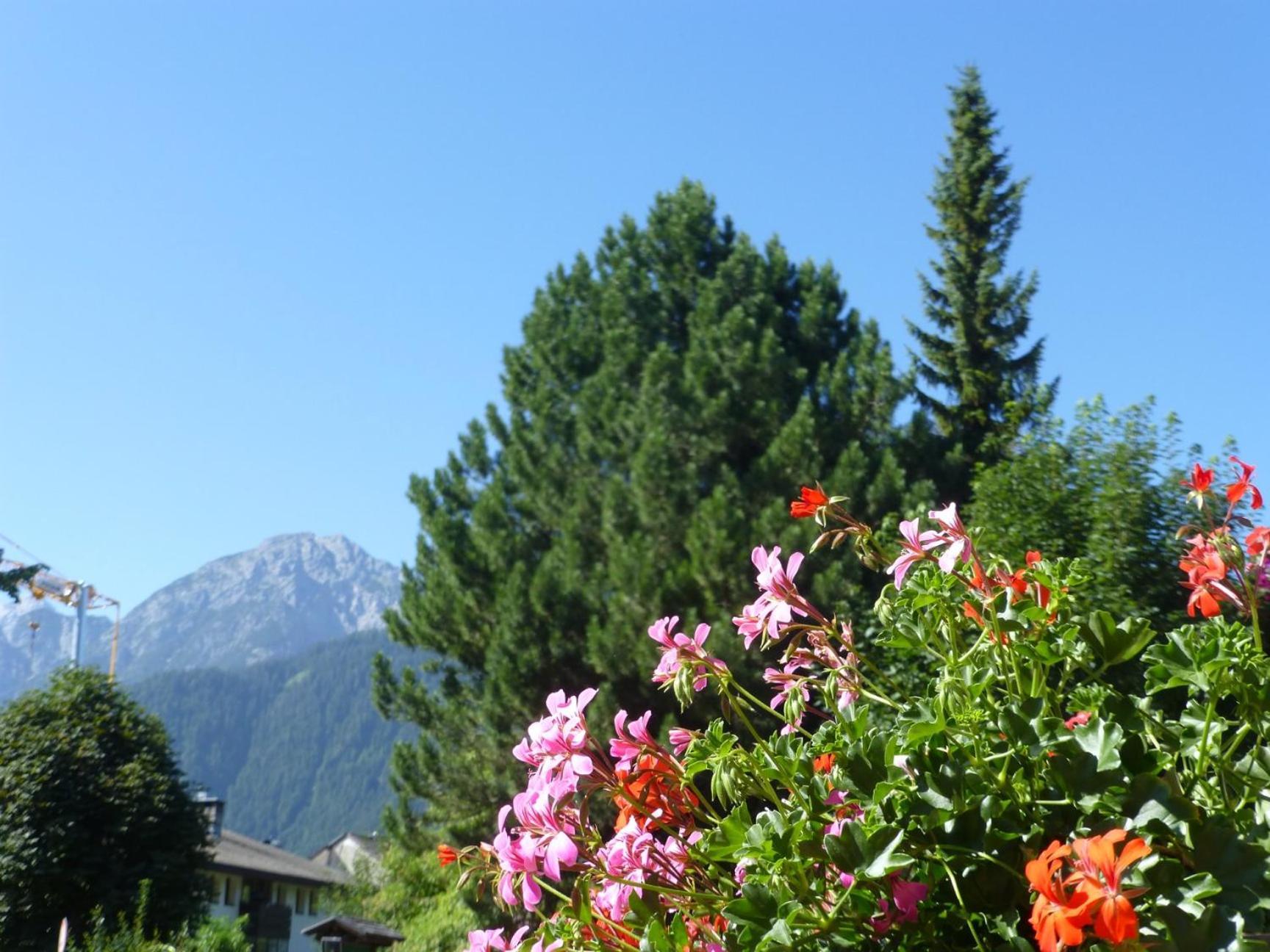 Bed and Breakfast Garni Helfer Dobbiaco Exterior foto